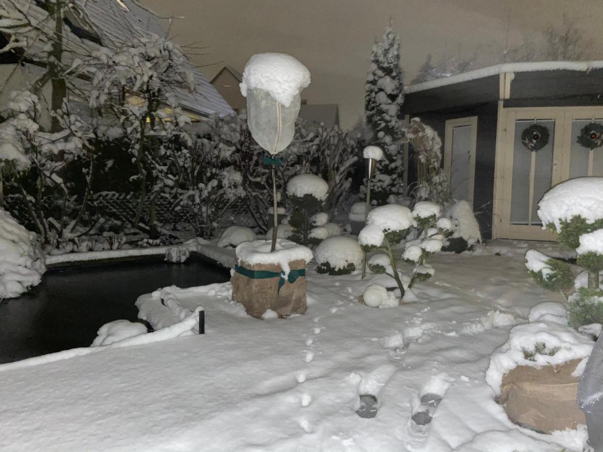 Ladigo „Kleines Glueck“ Lägenhet Goslar Exteriör bild